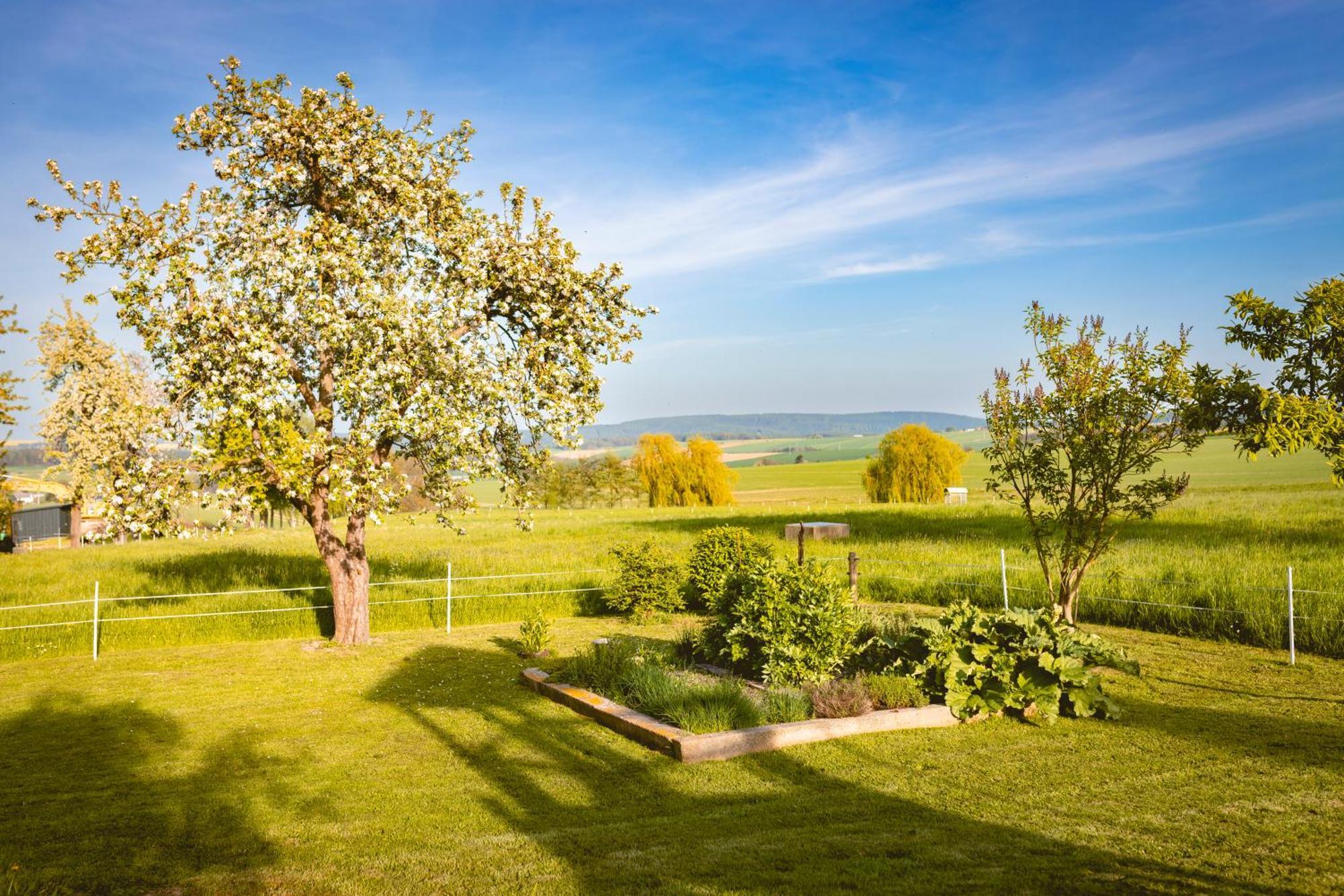 Gasthof Drei Schwanen Langenwetzendorf Buitenkant foto